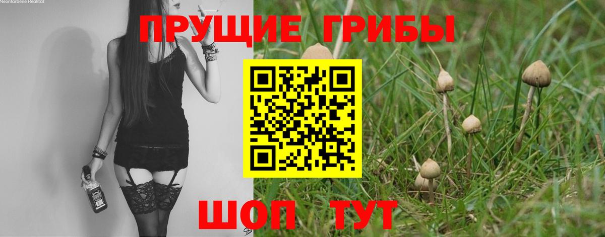 Галлюциногенные грибы Psilocybine cubensis Улан-Удэ